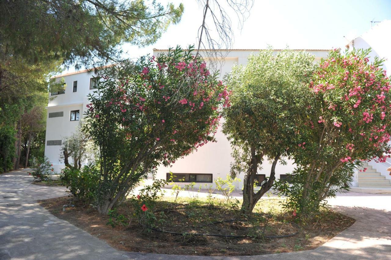 Niki Hotel Apartments Ialysos  Dış mekan fotoğraf